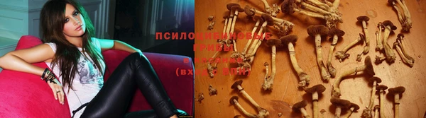 экстази Карпинск
