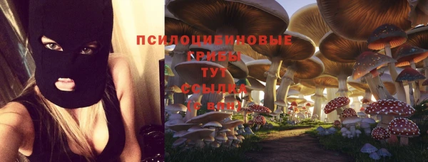 экстази Карпинск