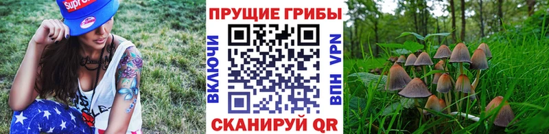 Галлюциногенные грибы Cubensis  Купить где  Осинники 